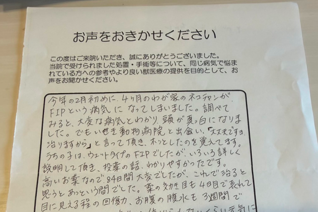 いせき動物病院でのFIP治療に対する飼い主様の声