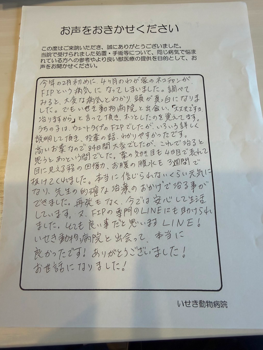 いせき動物病院でのFIP治療に対する飼い主様の声