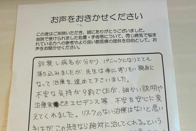 いせき動物病院でのFIP治療に対する飼い主様の声