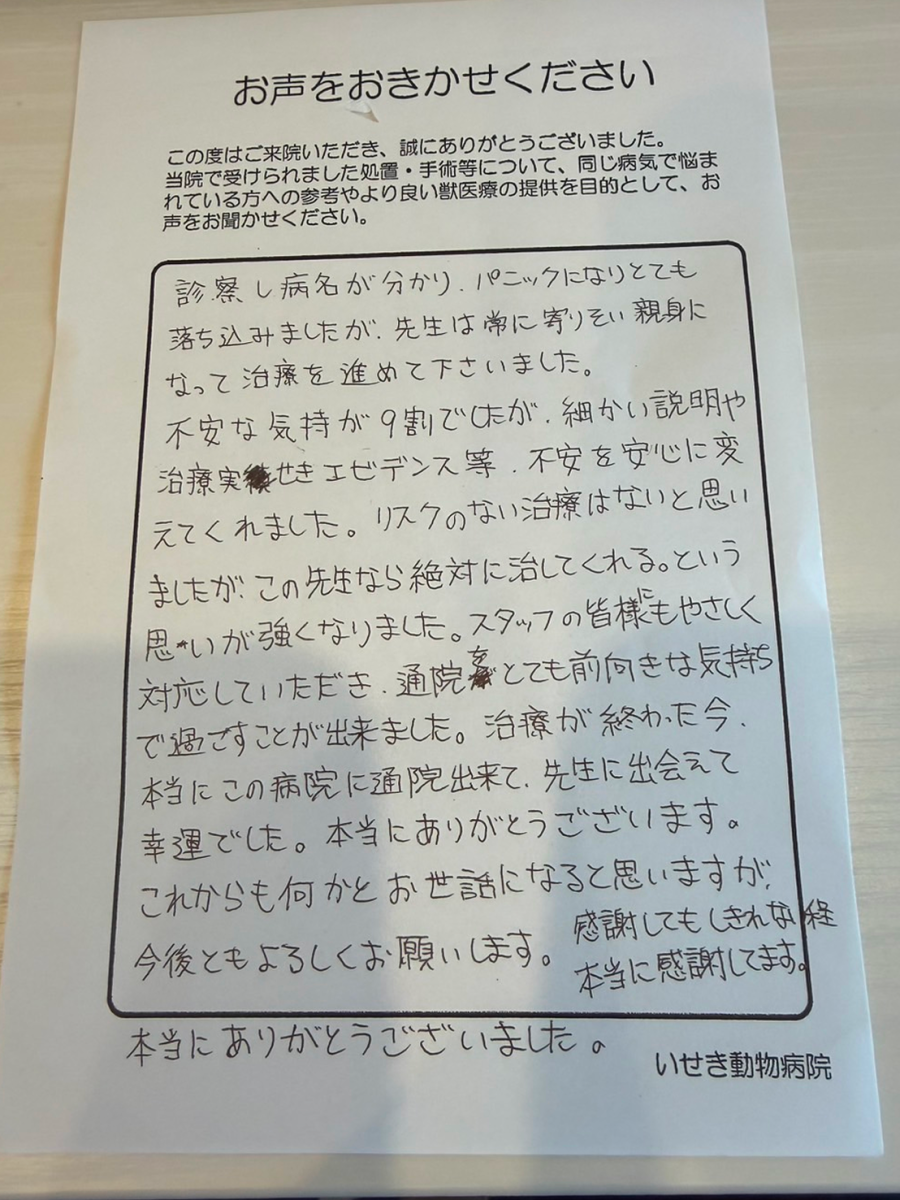 いせき動物病院でのFIP治療に対する飼い主様の声