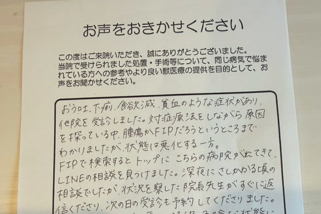 いせき動物病院でのFIP治療に対する飼い主様の声