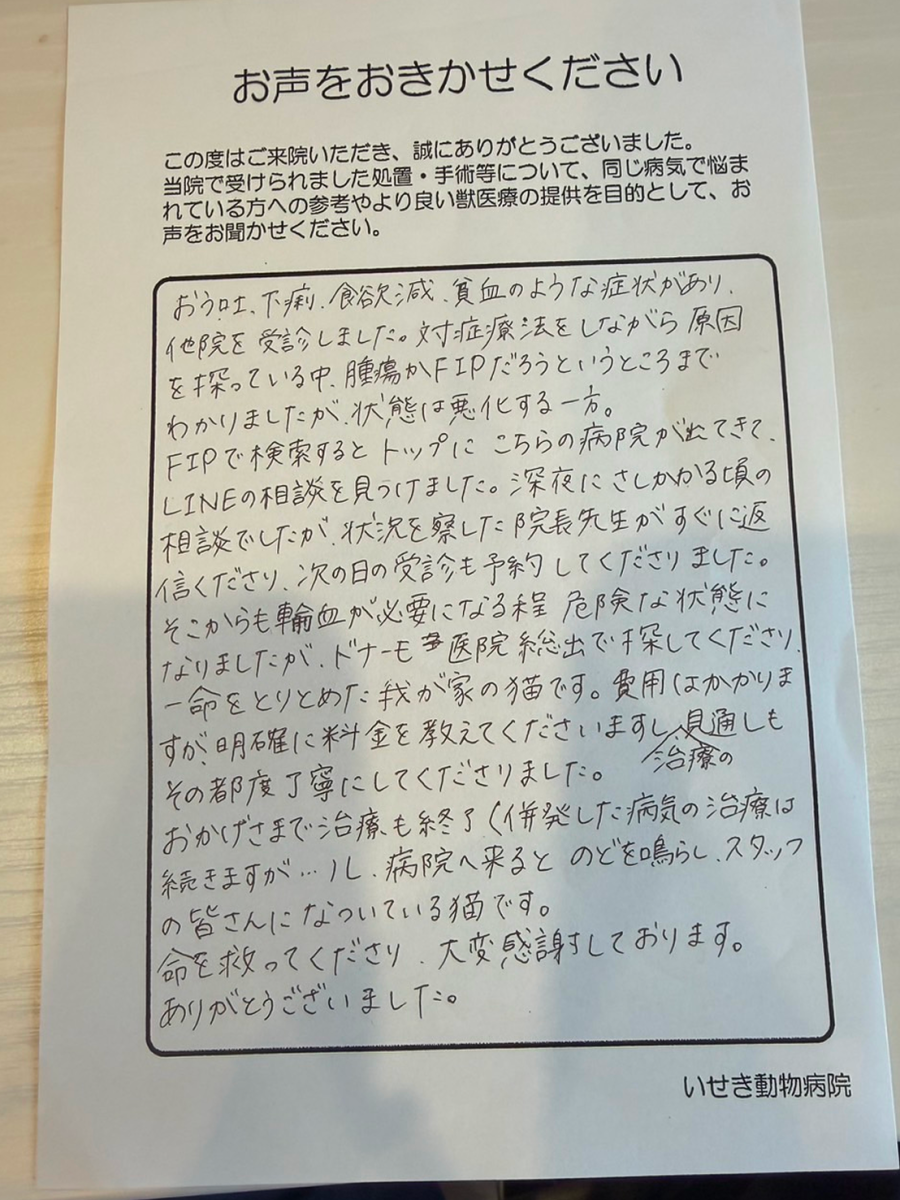 いせき動物病院でのFIP治療に対する飼い主様の声
