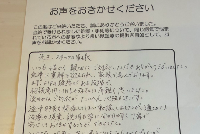 いせき動物病院でのFIP治療に対する飼い主様の声