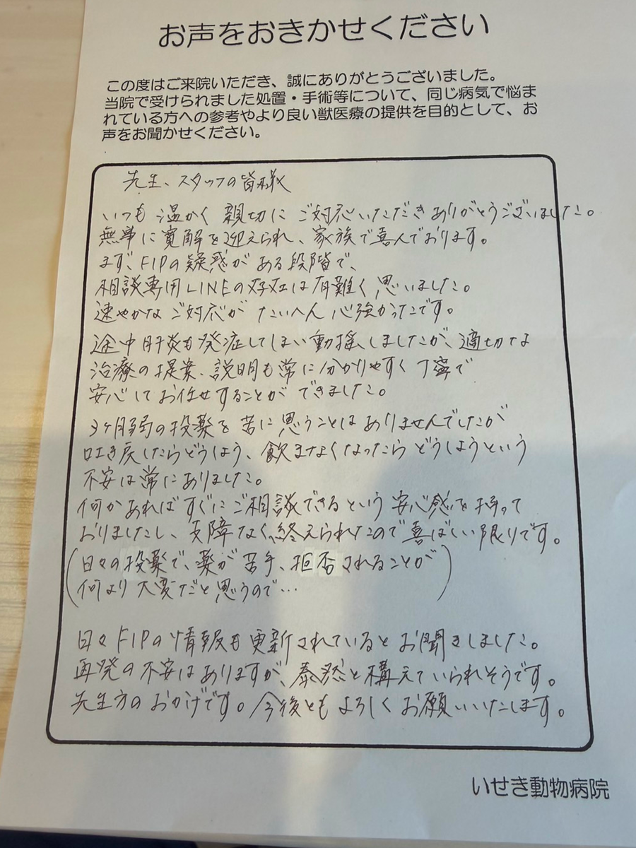 いせき動物病院でのFIP治療に対する飼い主様の声