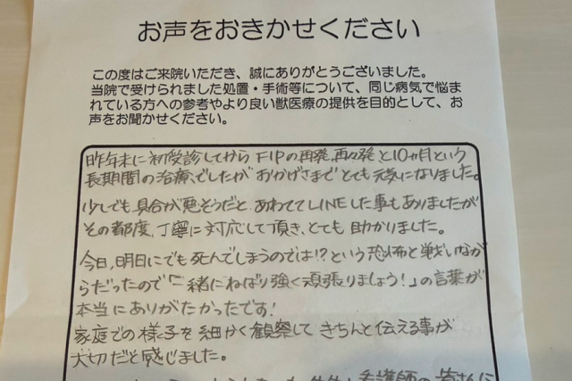 いせき動物病院でのFIP治療に対する飼い主様の声