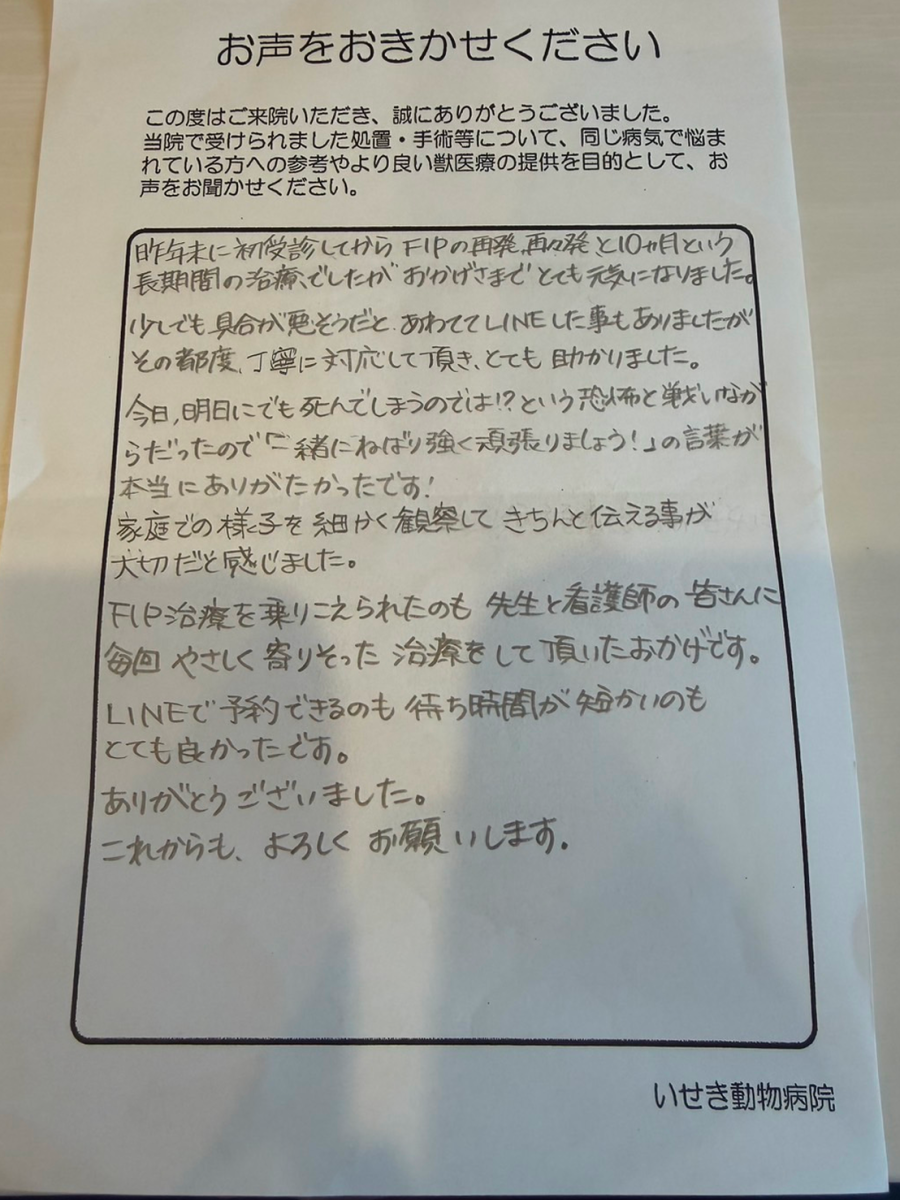 いせき動物病院でのFIP治療に対する飼い主様の声