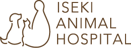 いせき動物病院