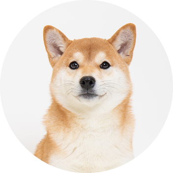 診療・症例紹介