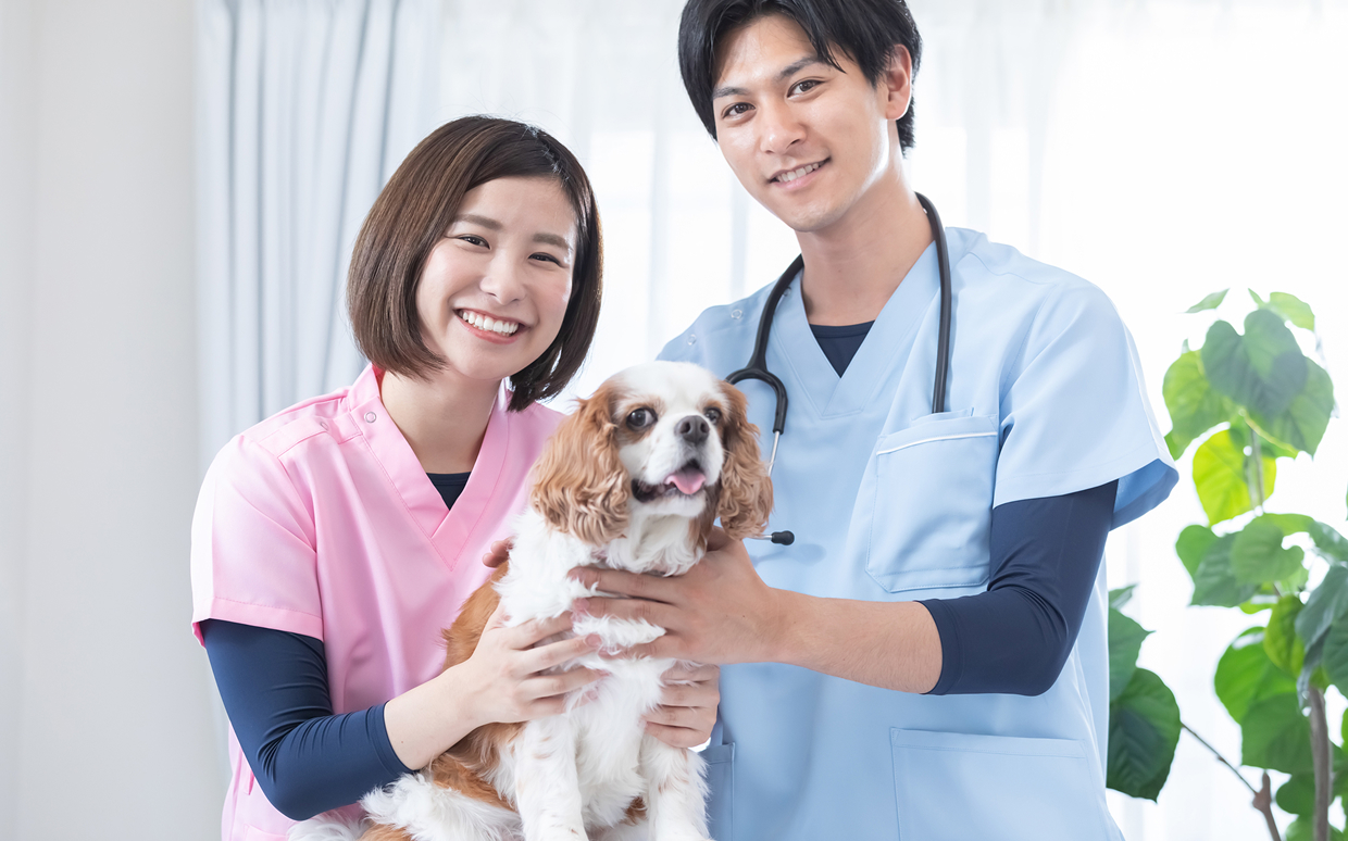 採用情報