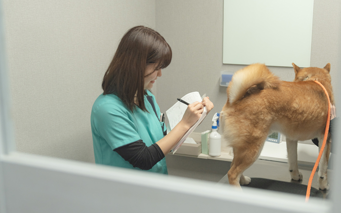 犬猫の避妊手術・去勢手術