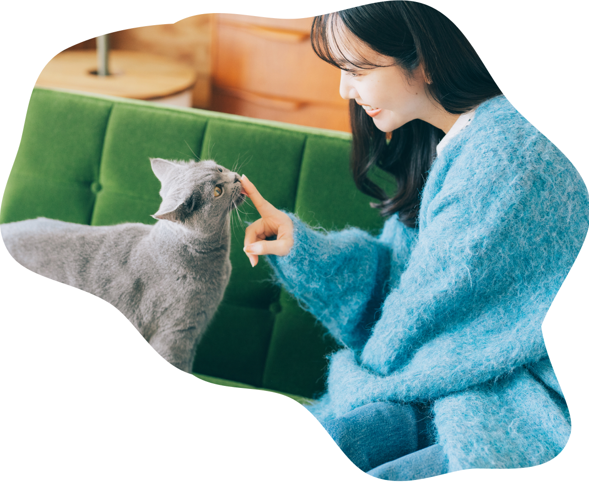 FIP治療