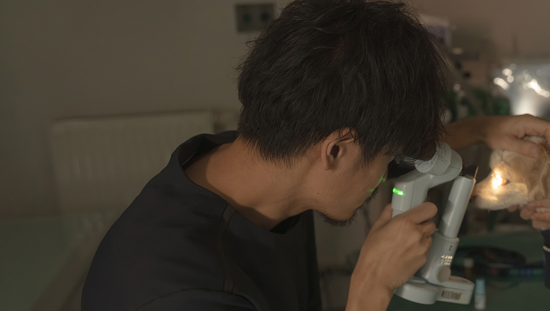 泌尿器科